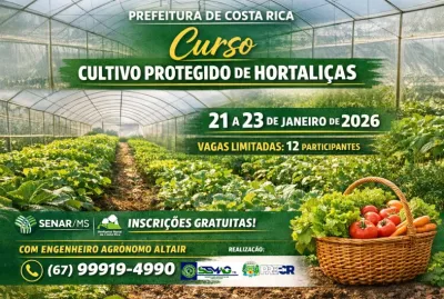 Imagem da notícia Aberta inscrição para curso gratuito sobre técnica de estufas aos produtores de Costa Rica